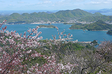 中央の小さな島は平内島です